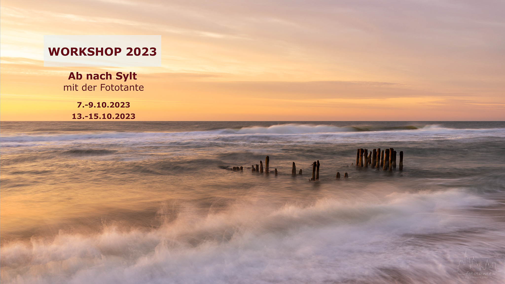 Workshop-Sylt-2023.jpg#asset:2626