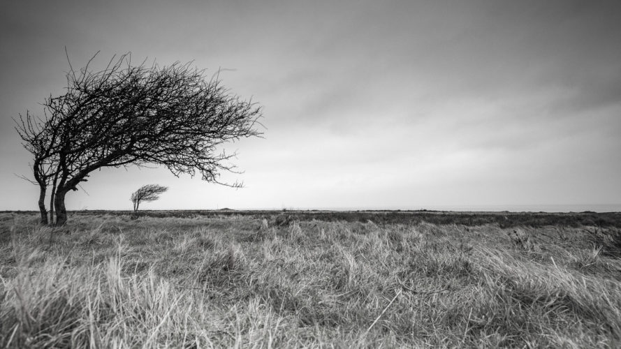 Workshop auf Sylt