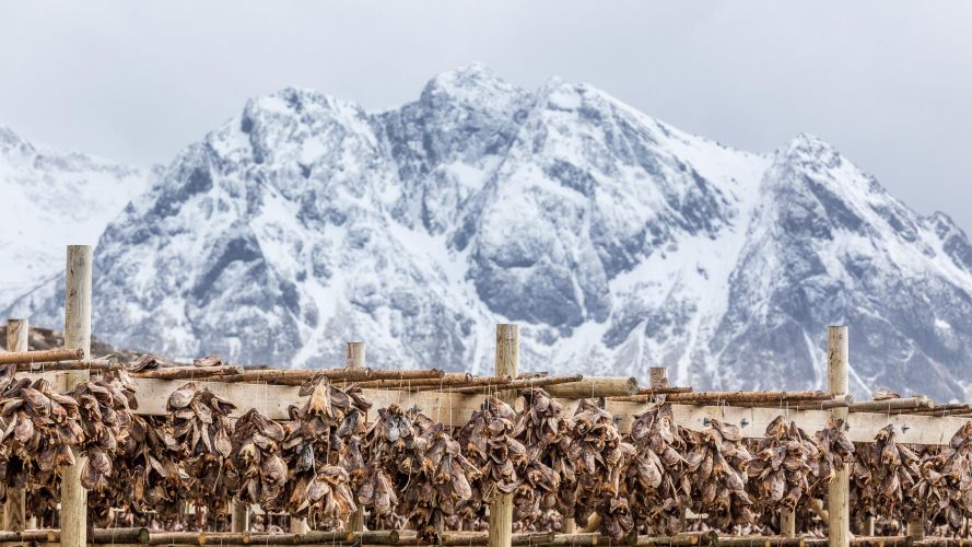 Reiseworkshop auf den Lofoten