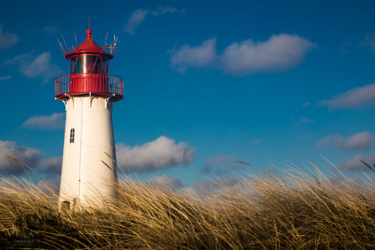 Workshop auf Sylt