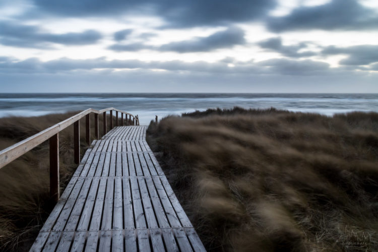 Workshop auf Sylt