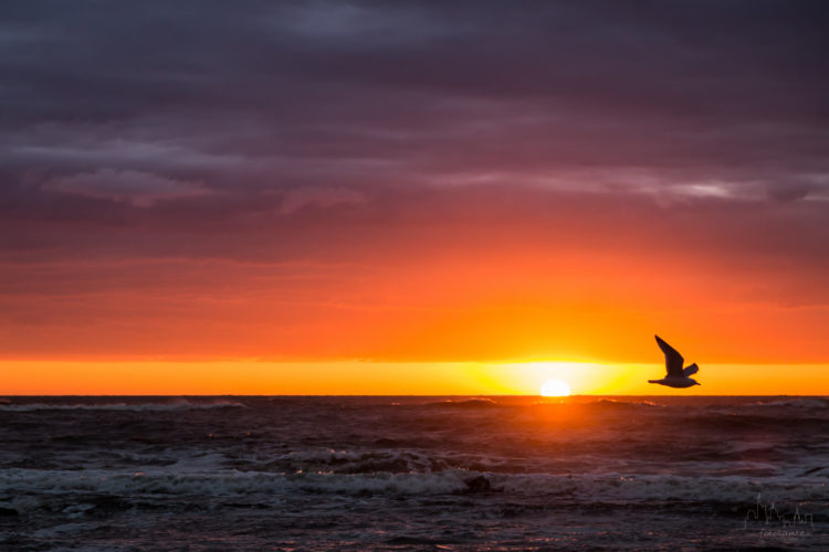 Workshop auf Sylt